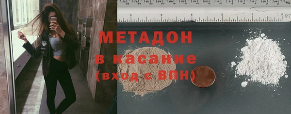индика Алексин
