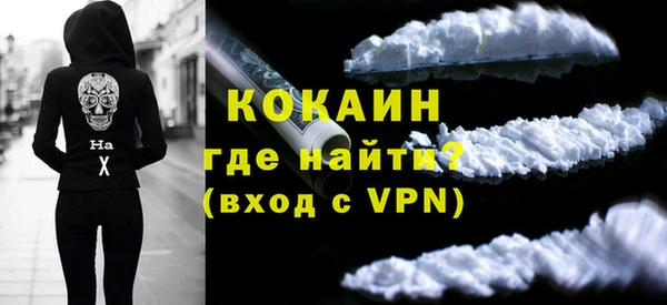 молекула духа Арсеньев