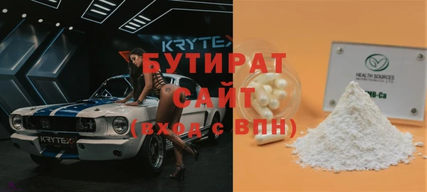индика Алексин