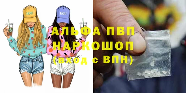 индика Алексин