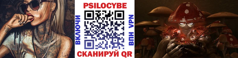 Галлюциногенные грибы Cubensis  Бронницы 