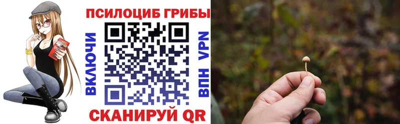 Галлюциногенные грибы прущие грибы Бронницы
